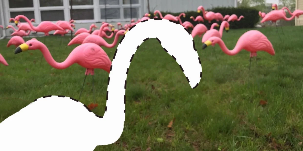 FlamingosGone.jpg