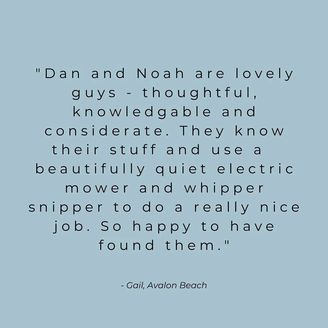 A very nice review from one of our lovely clients… 🌱 💚 
.
.
.
.
.
#gardens #gardening #gardeningaustralia #gardenersofinstagram #ecofriendlygardening #ecogardening #batterypowered #pellenc #egopowertools #niwaki #hasegawaladders #avalon #nor