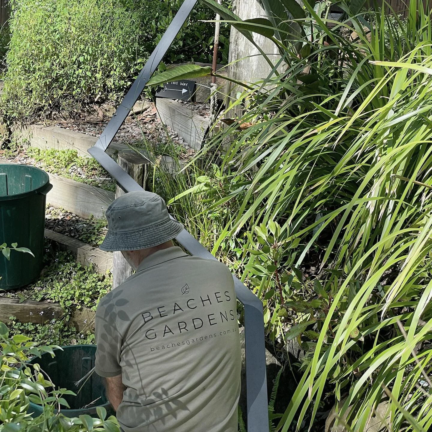 Deep in a weeding zone… 🌱 
.
.
.
.
.
#gardens #gardening #gardeningaustralia #gardenersofinstagram #weeding #ecofriendlygardening #ecogardening #gardenlovers #batterypowered #pellenc #egopowertools #niwaki #hasegawaladders #beachesgardens #s