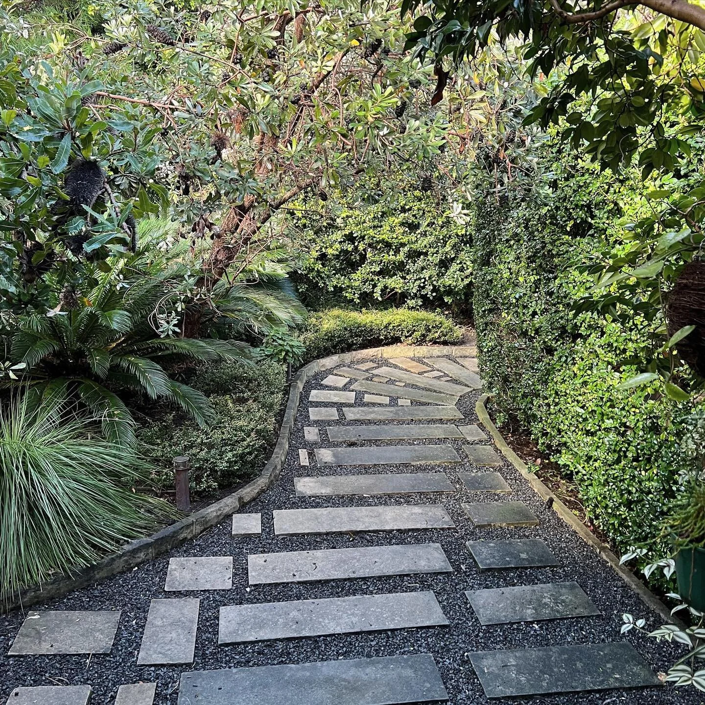 Pressure washing is my kind of cleaning… 💪🏼
.
.
.
.
.
.
.
.
.
#gardens #gardening #gardeningaustralia #gardenersofinstagram #ecofriendlygardening #karcher #kärcheraustralia #ecogardening #gardenlovers #beachesgardens #smallbusiness #su