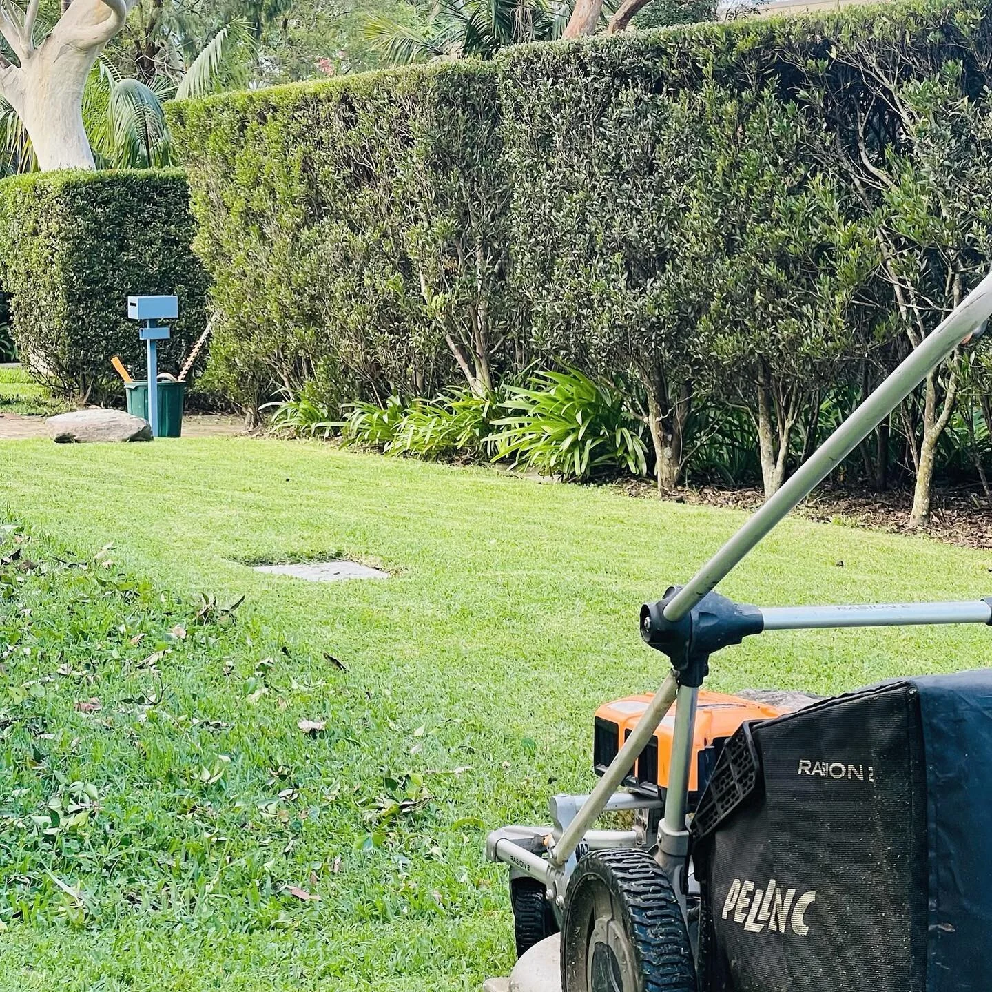 Couldn’t do my job without my @pellencaustralia mower, it’s really the best in the biz. Drives like a dream and being battery powered means it’s super quiet and has zero fumes… 🌱👌🏼
.
.
.
.
#gardens #gardening #gardeningaus