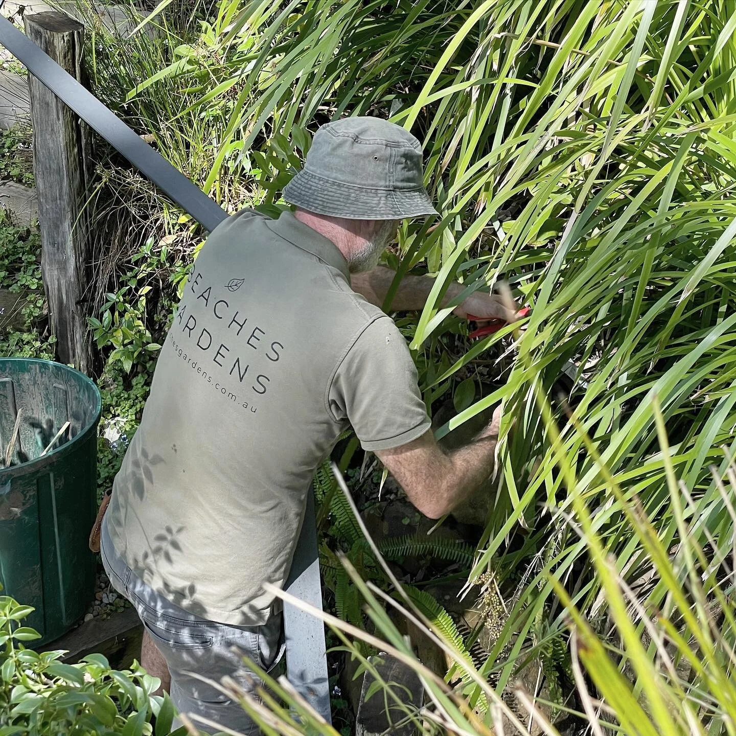 A morning of cutting back this Lomandra… ✂️ 🌱 
.
.
.
.
.
.
.
#gardens #gardening #gardeningaustralia #gardenersofinstagram #plants #ecofriendlygardening #ecogardening #gardenlovers #beachesgardens #smallbusiness #supportsmallbusiness  #outdoo