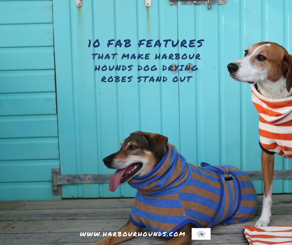 10 Features That Make our Dog Drying Coats the Best Harbour Hounds