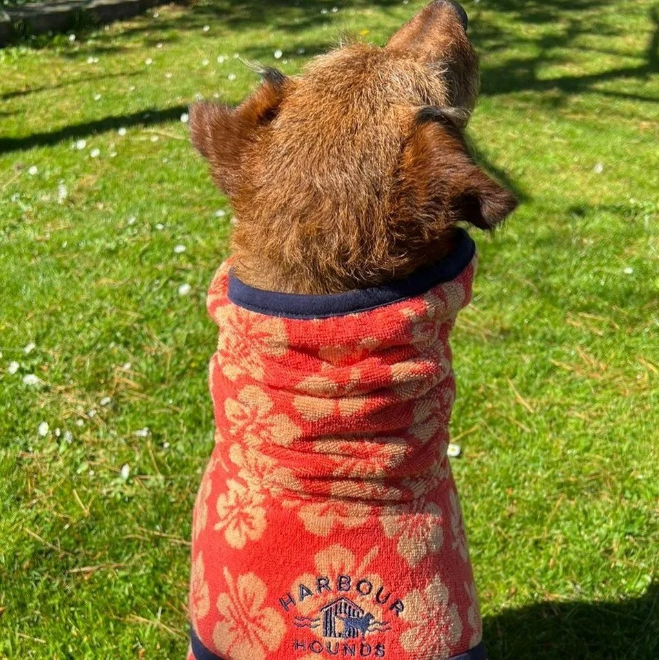 Dog Drying Robe Harbour Hounds