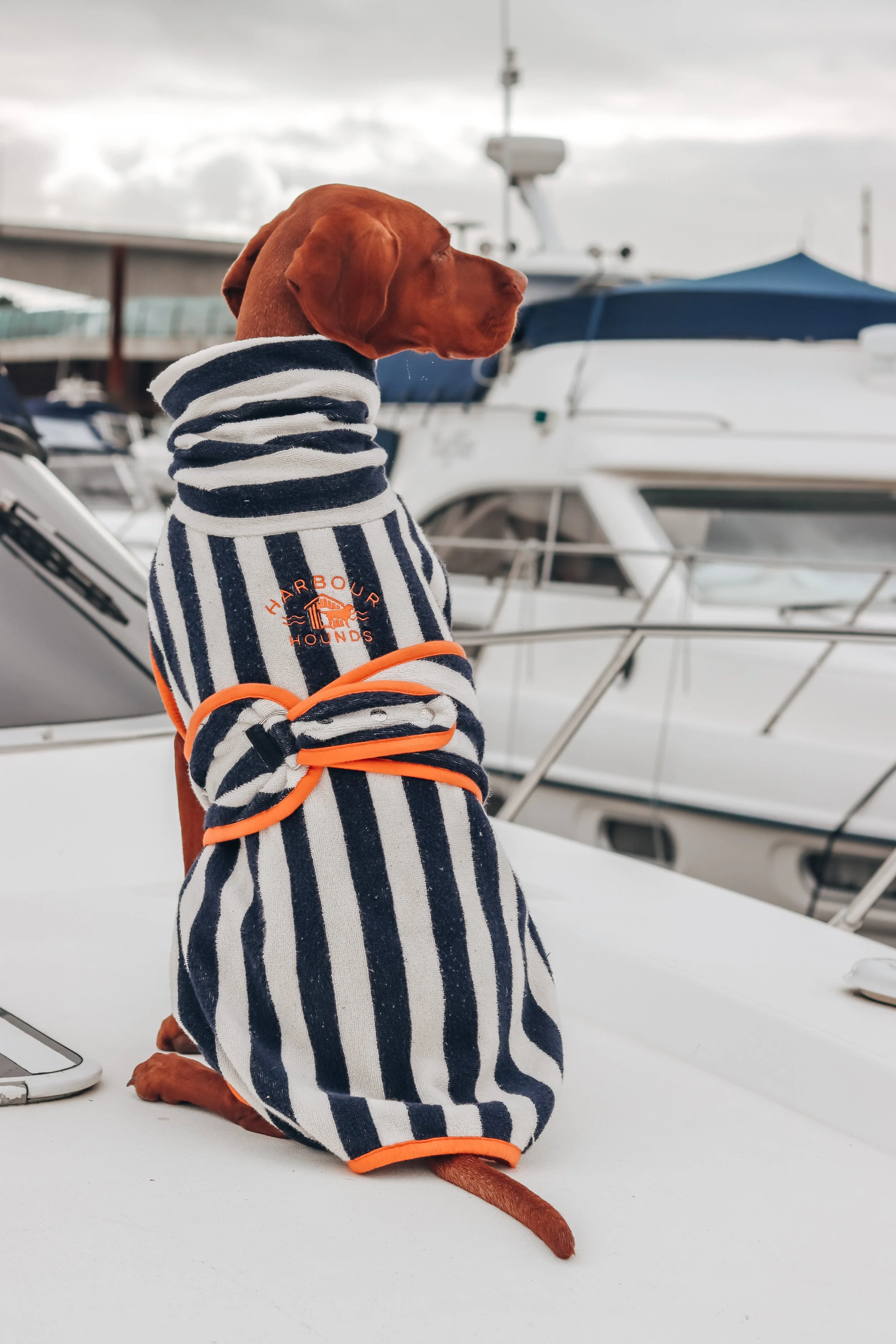 Dog Drying Robe in Navy and Sea Salt (White) Personalised Dog Robe