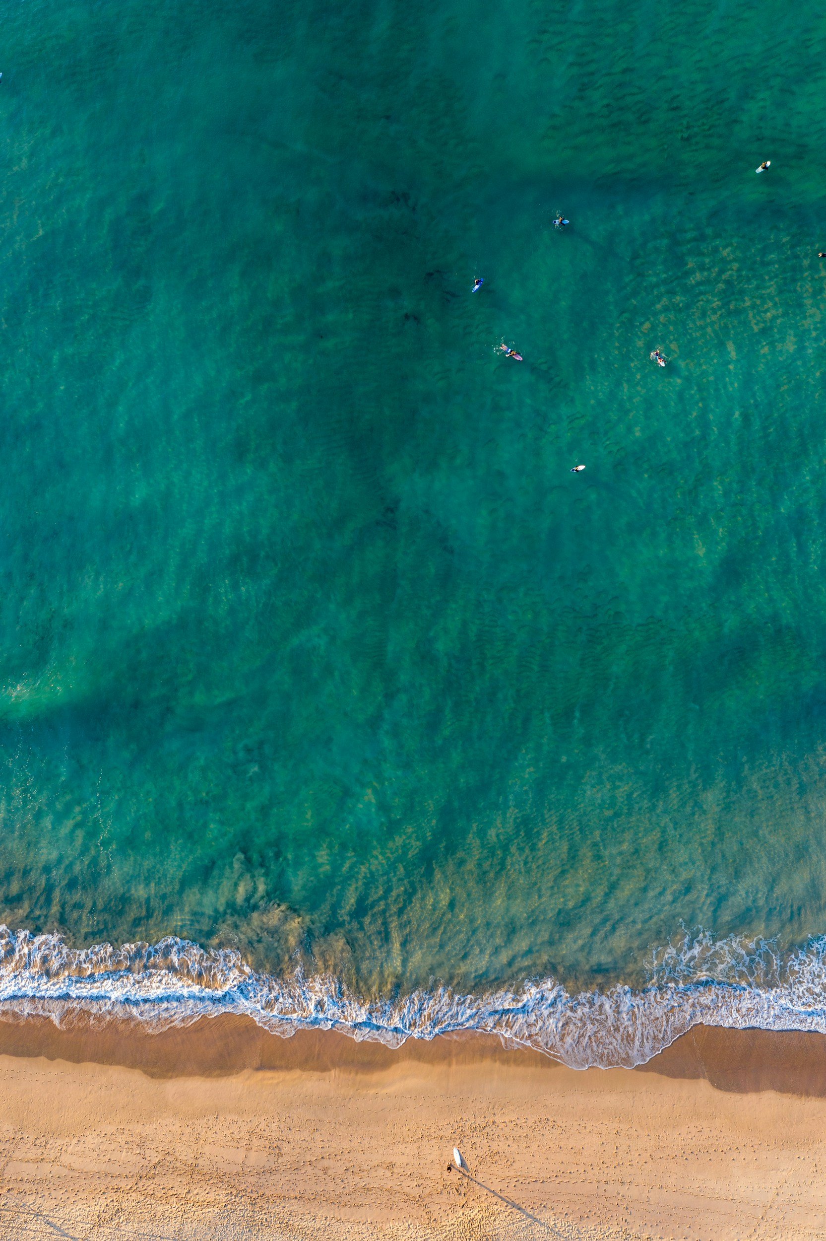 Cronulla beach