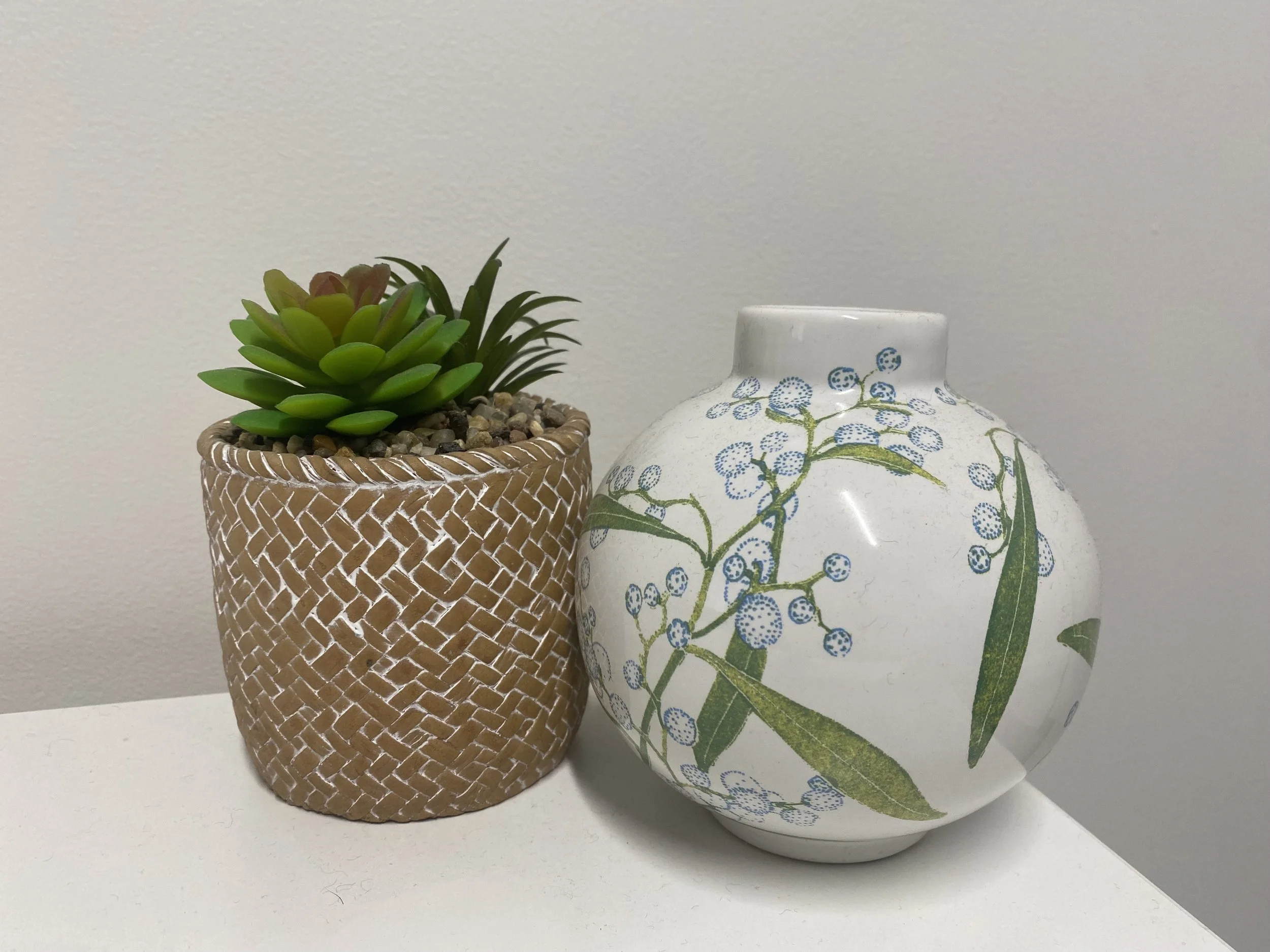 Vase and plant in the office of Carlie Jordan Clinical Psychology, Miranda, Sutherland Shire