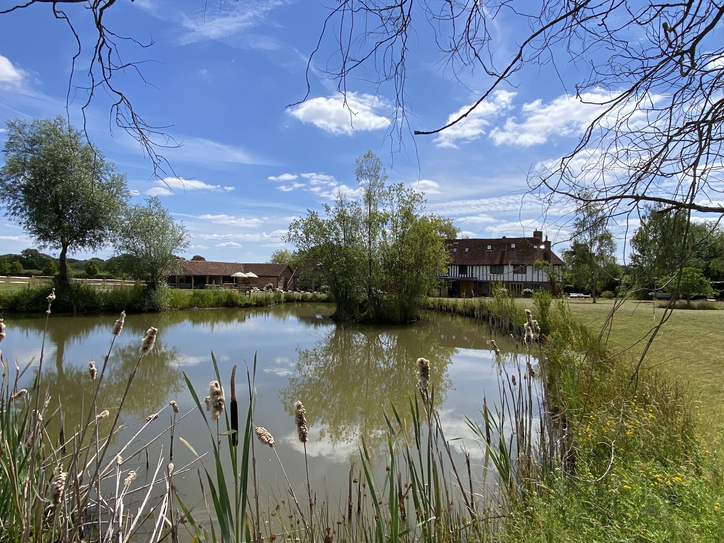 Rear Elevation over lake2 copy.jpeg