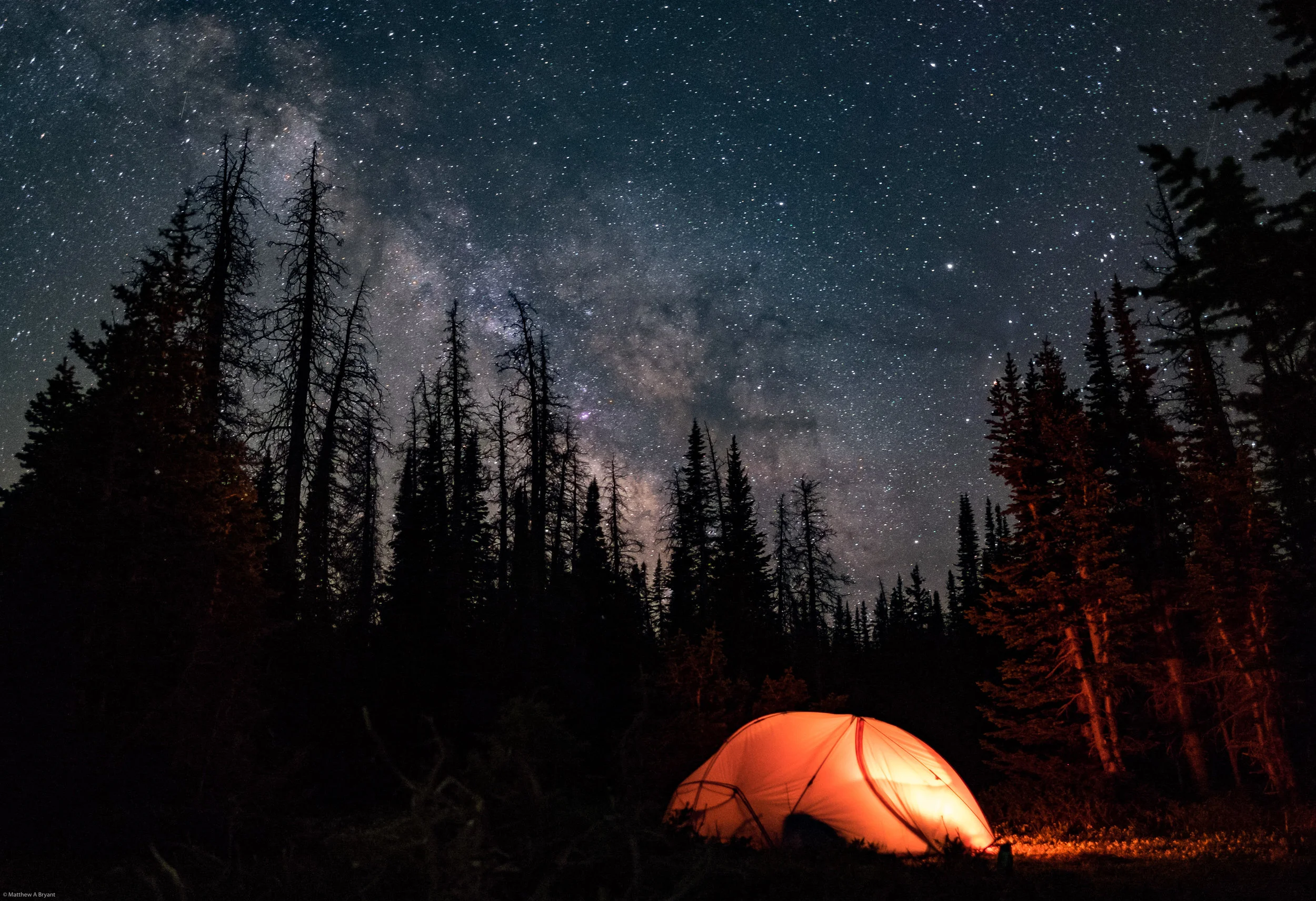 Tent, Trees, and Stars