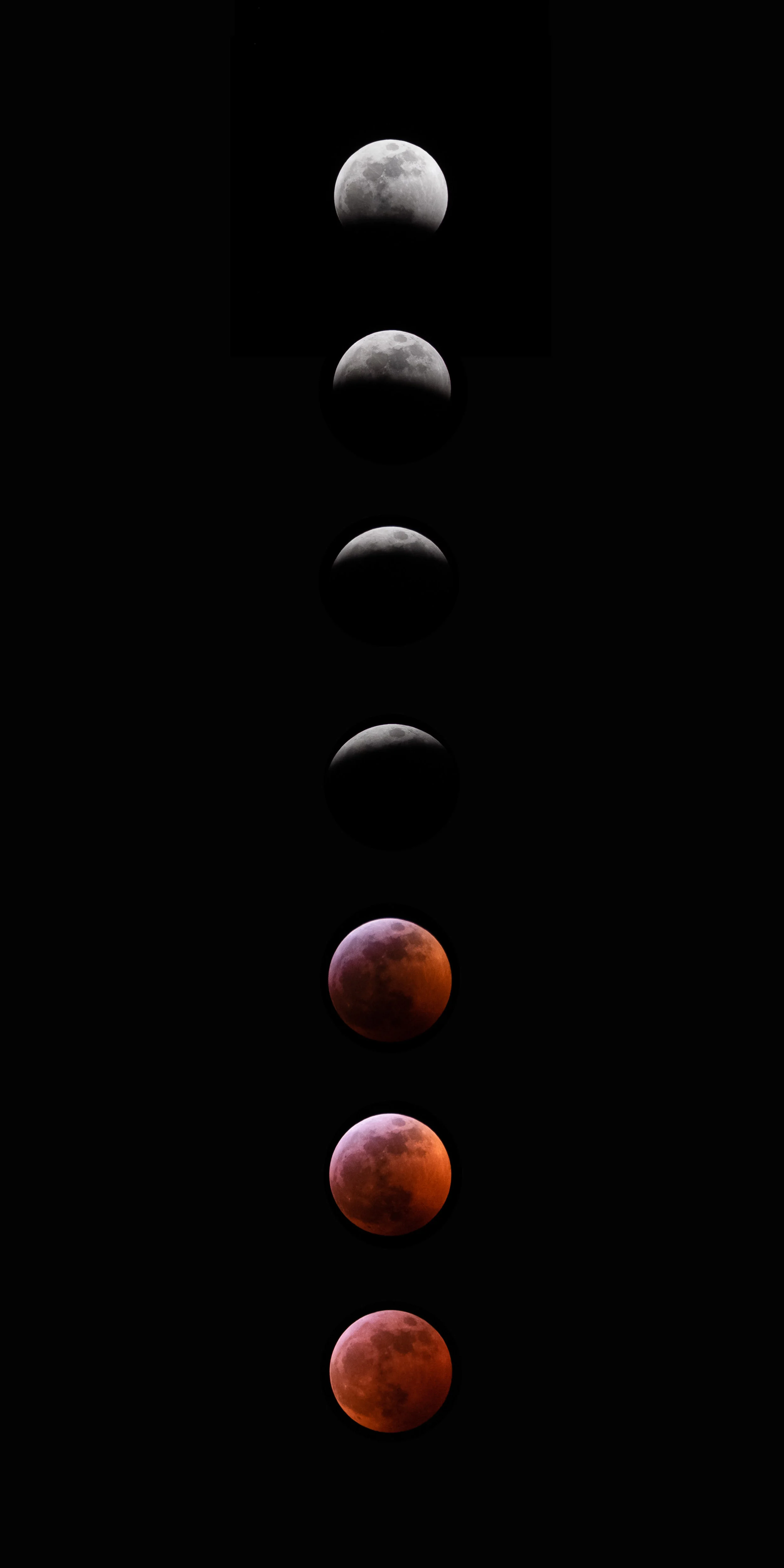Lunar Eclipse Series