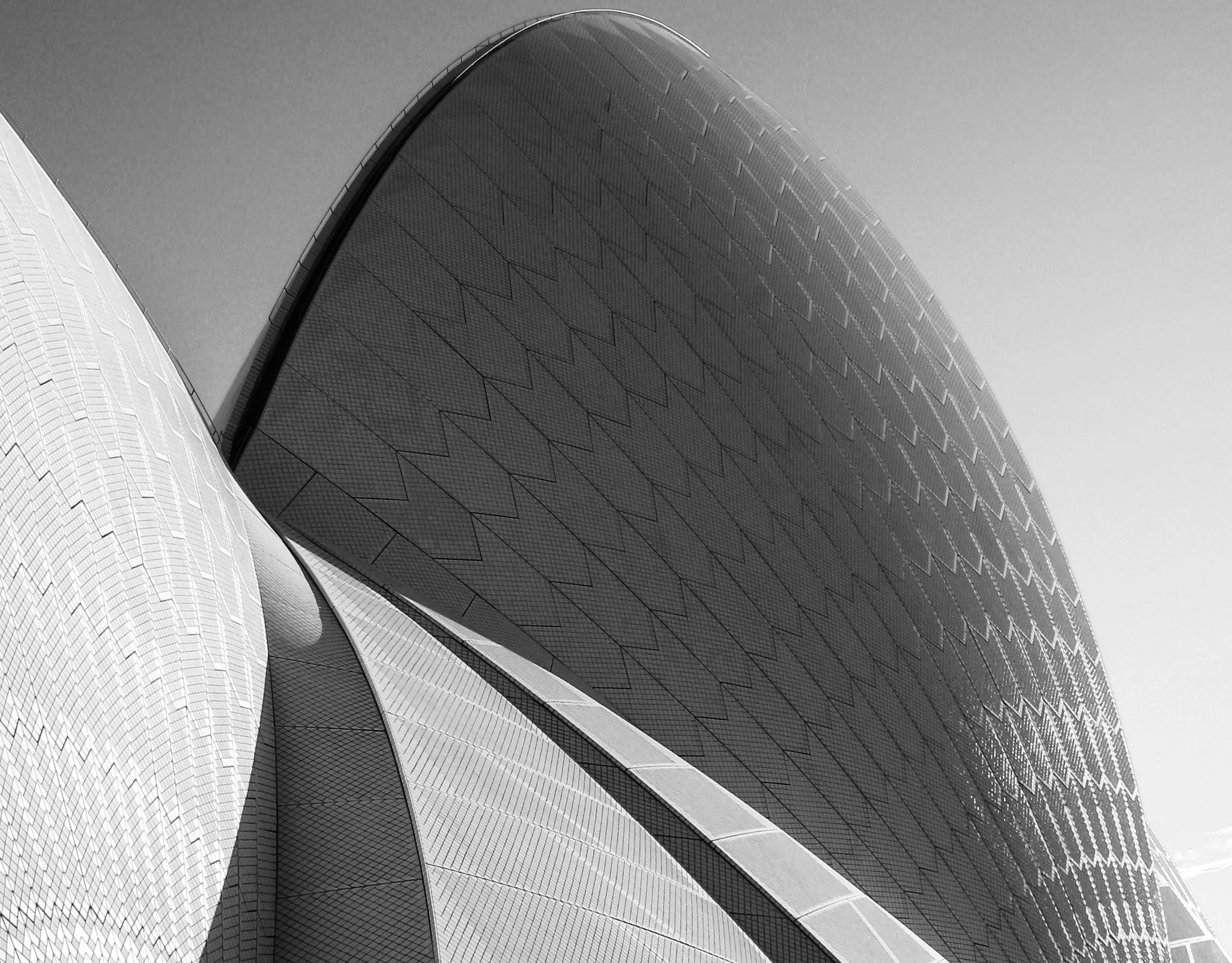 Opera