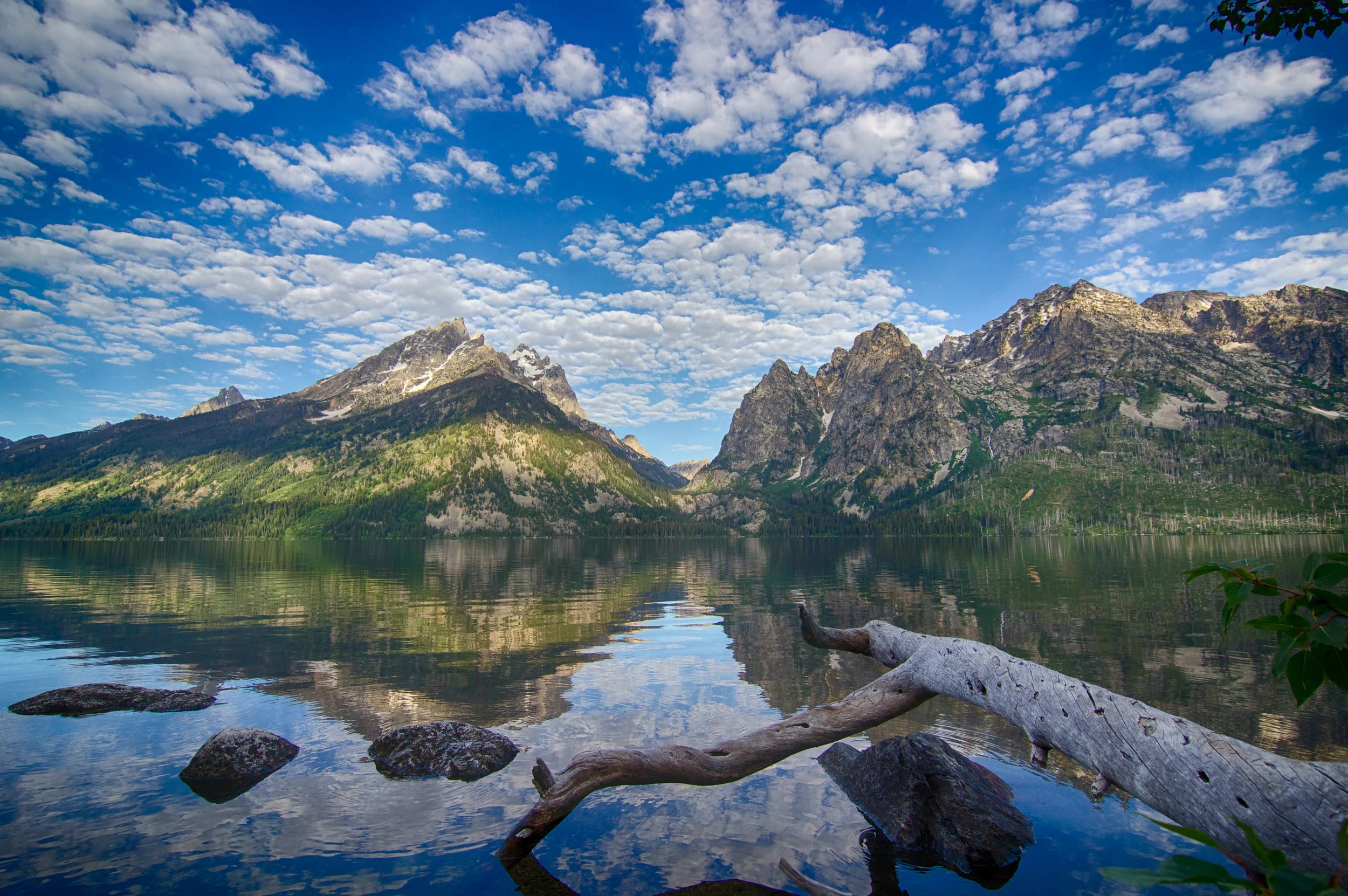 Jenny Lake