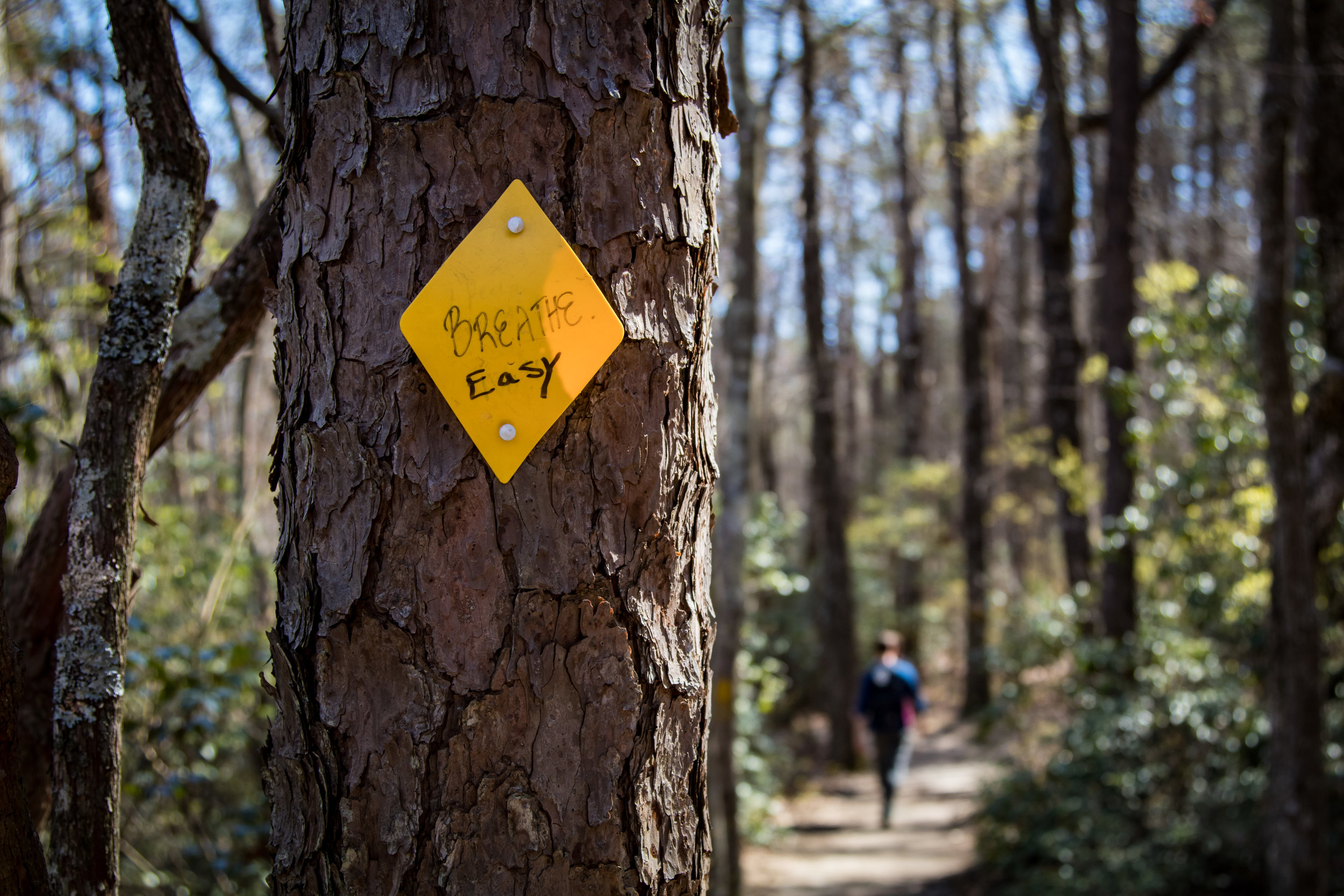 Breathe in Cloudland