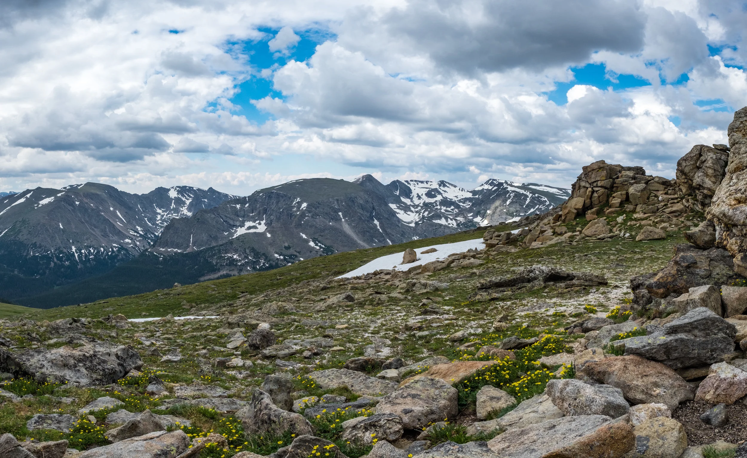 RMNP Tundra