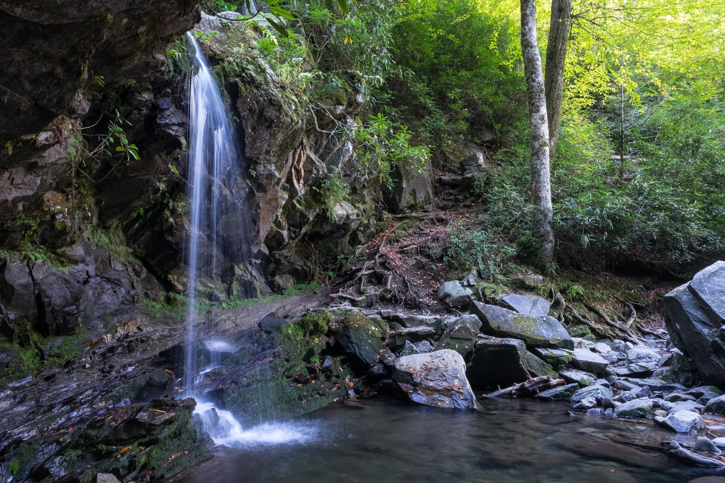 Grotto Falls