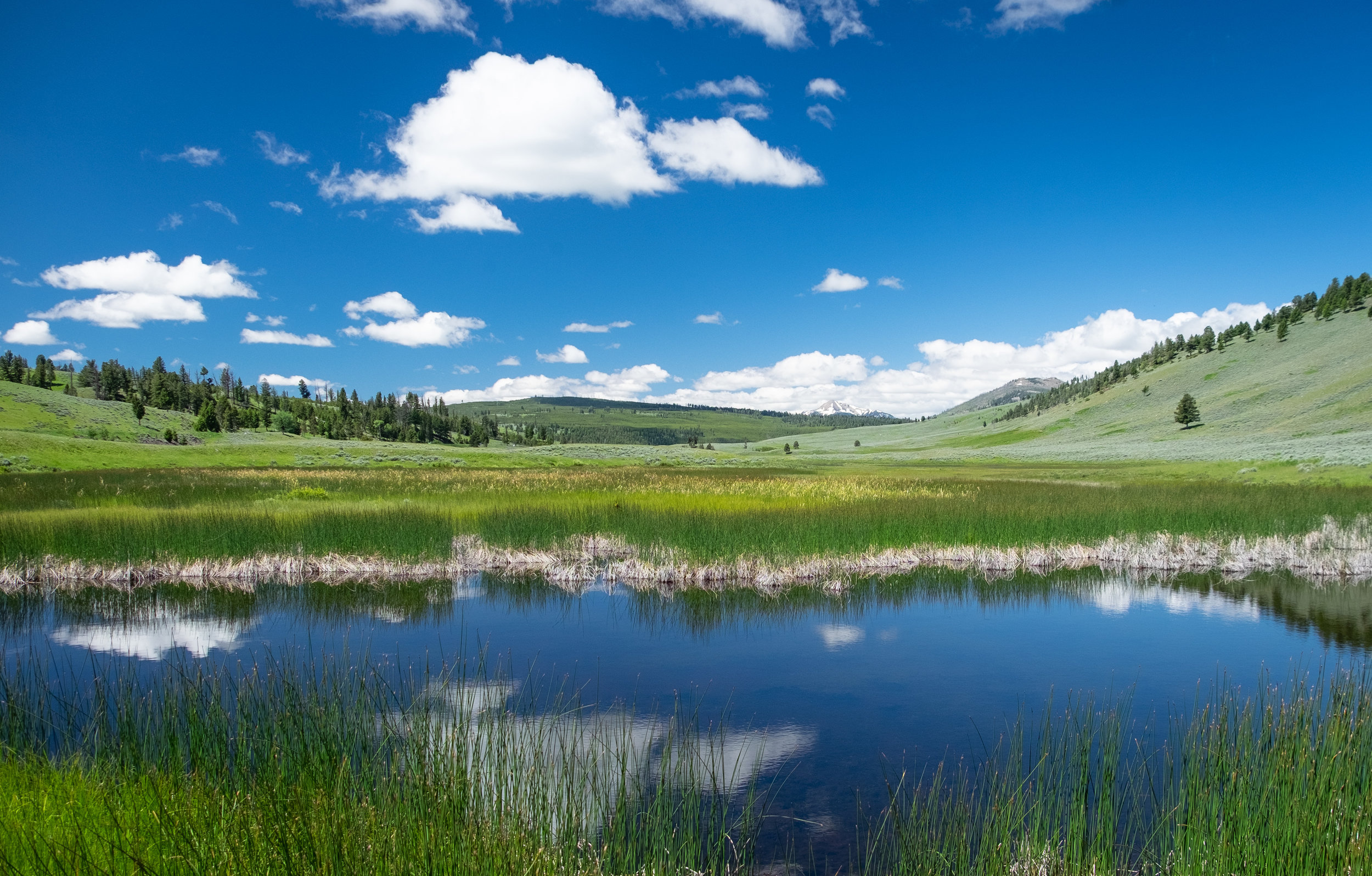 Pond and Clouds.jpg