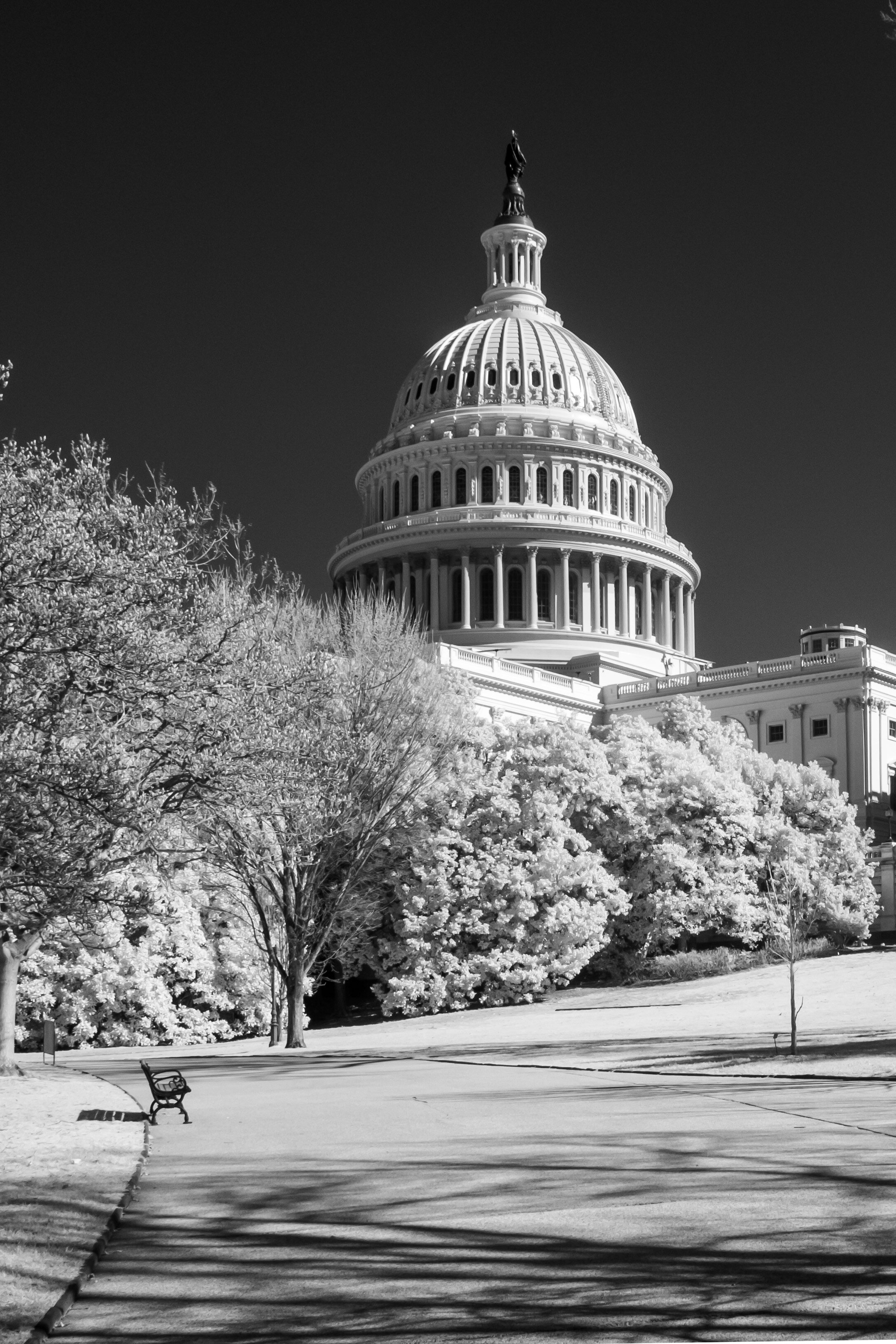 US Capitol-4.jpg