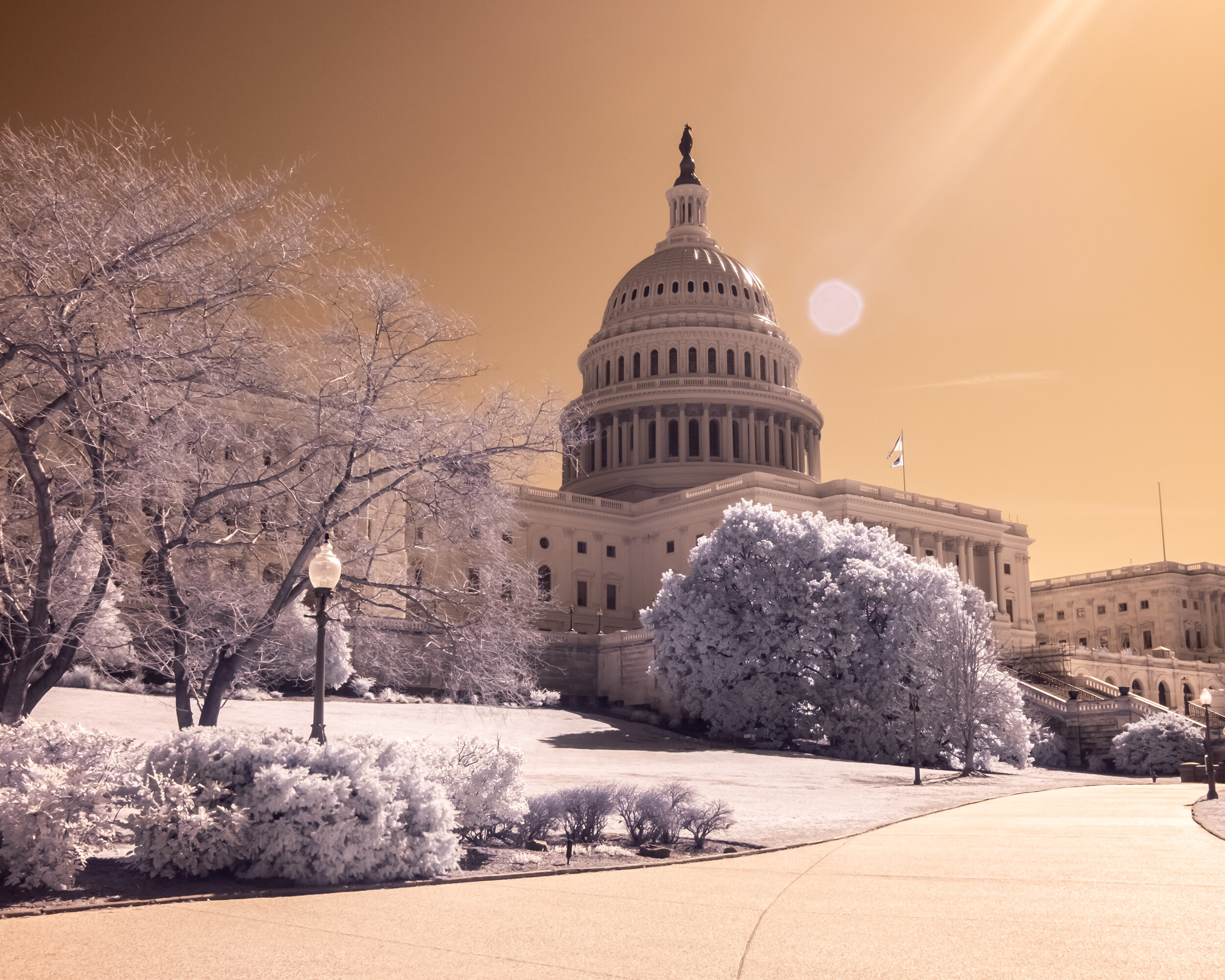 IR Capitol-3.jpg