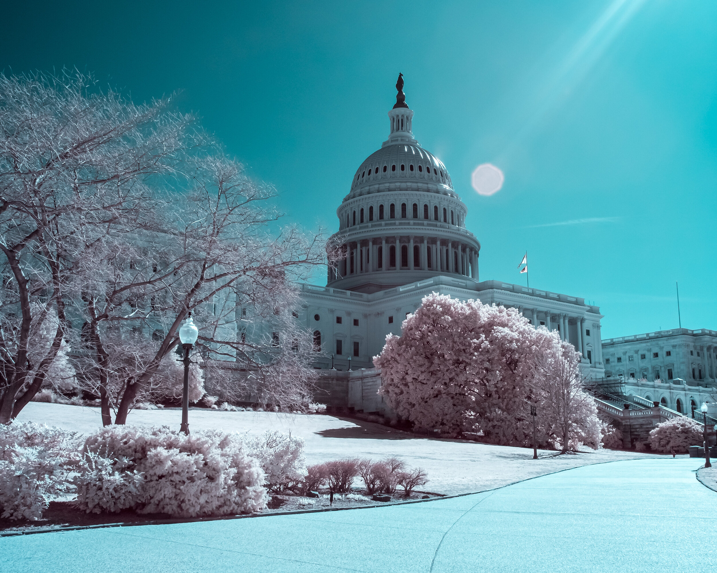 IR Capitol-1.jpg