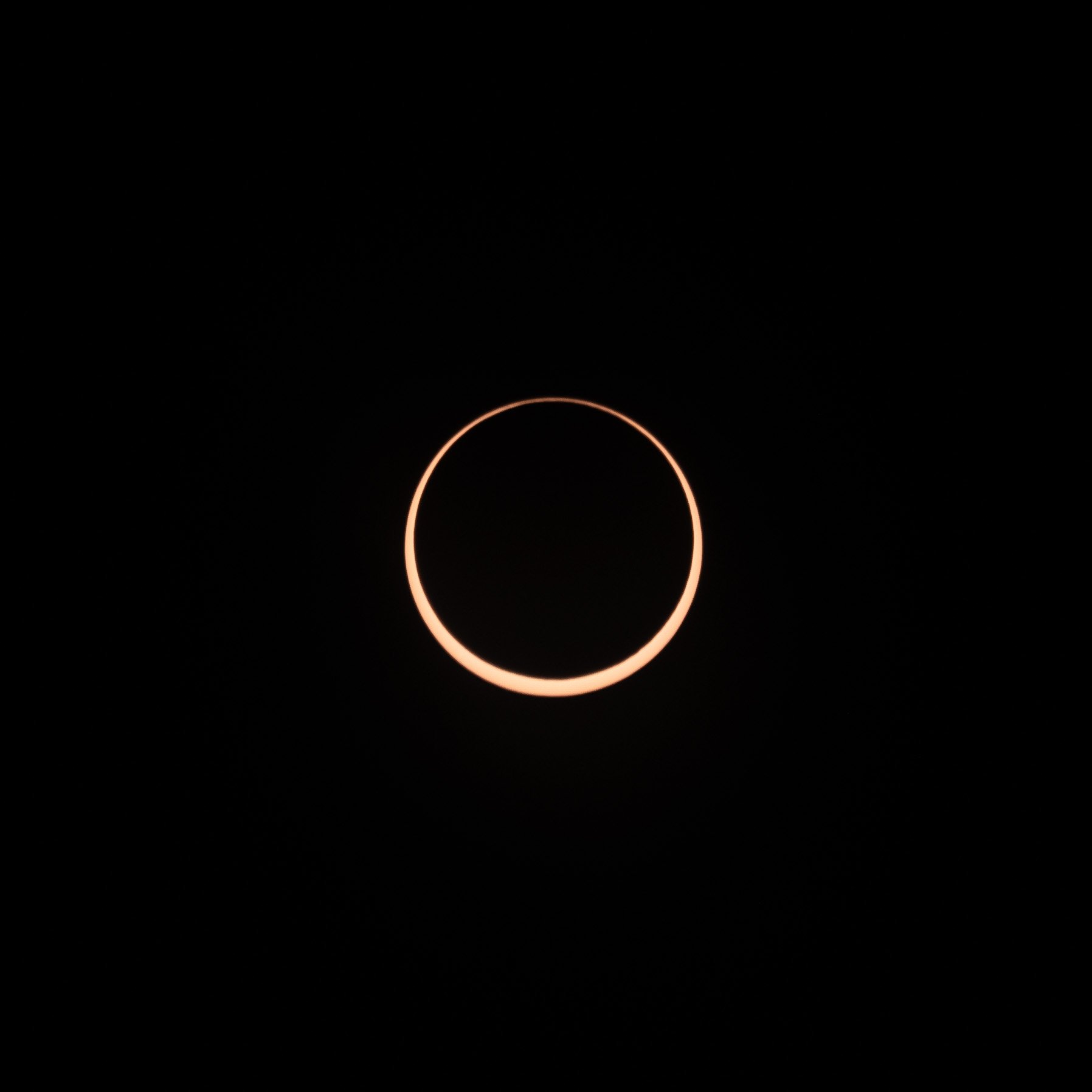 Annular Eclipse-2.jpg