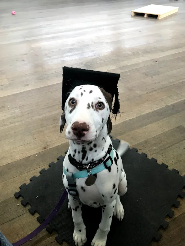 Jess graduation pic.jpg