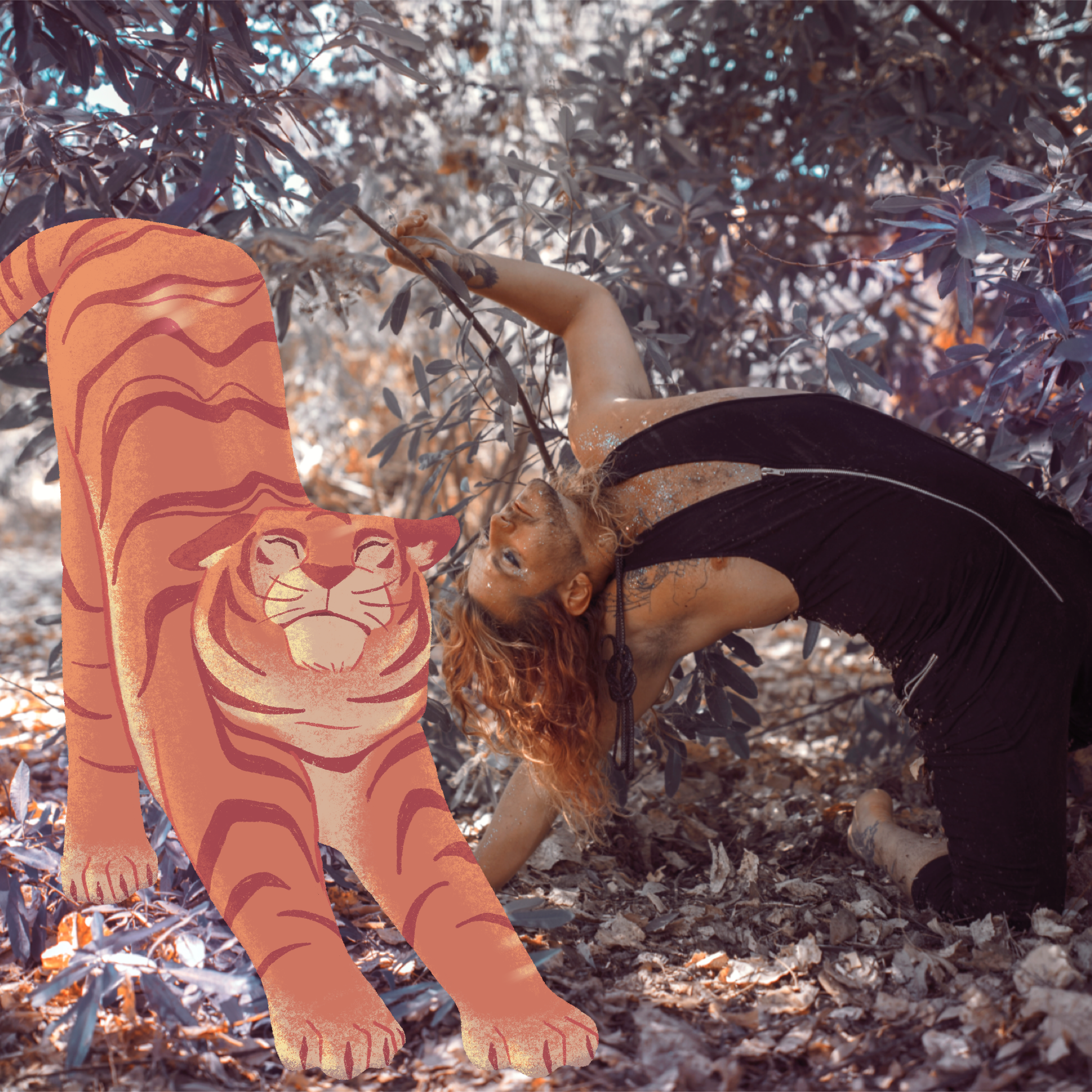 Mark and the Tiger: "Little Adventures"