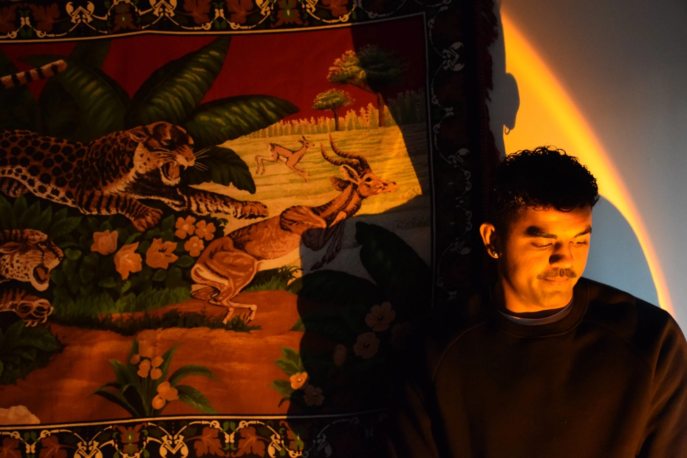 William Truelove: "Split Personality"