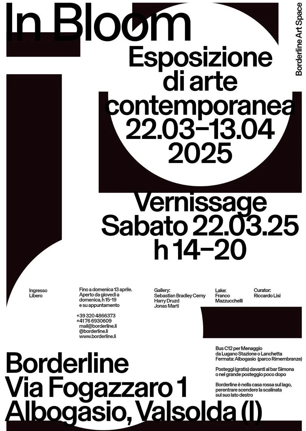 Borderline Art Space: In Bloom