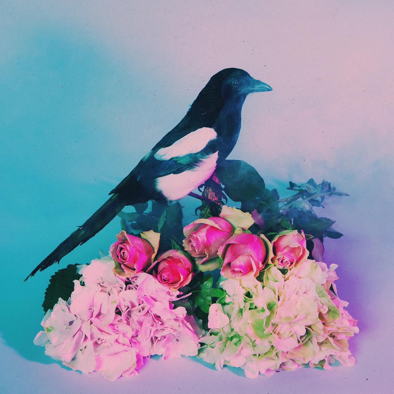 The 1975