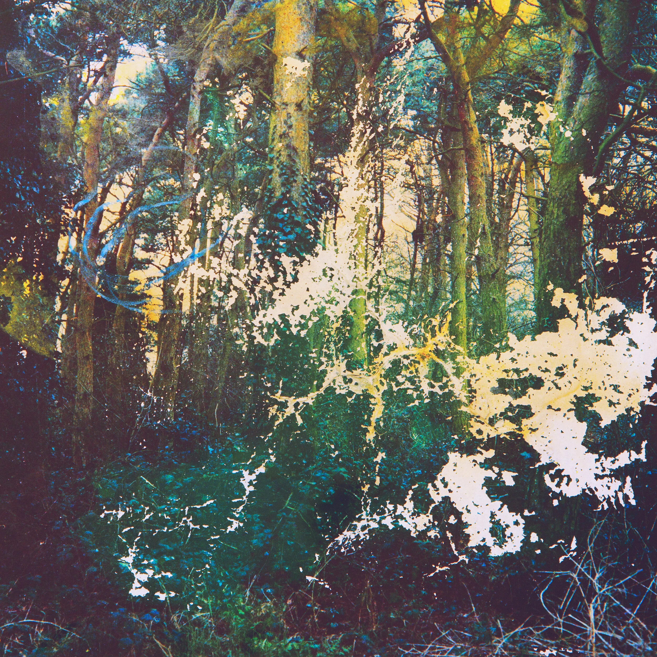 Carousel9.jpg