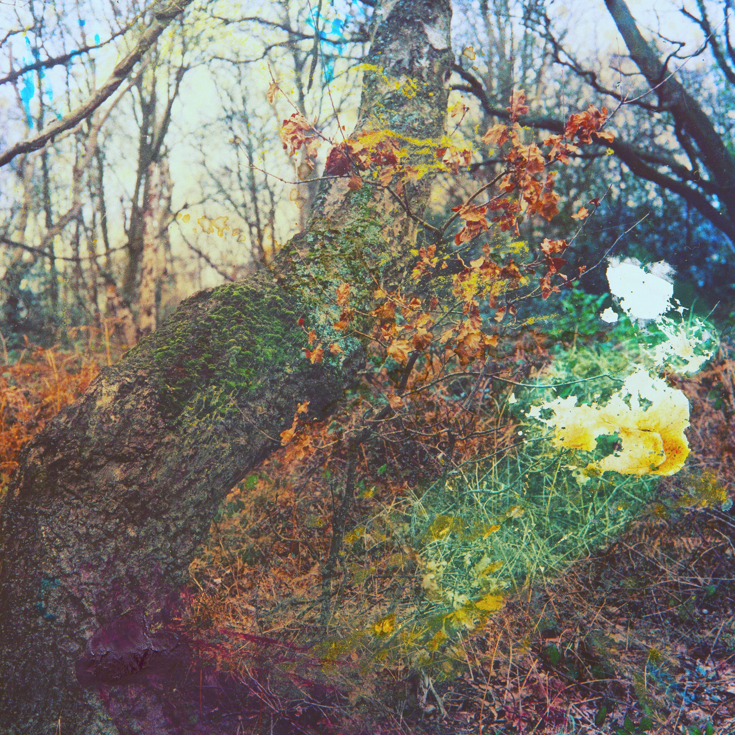 Carousel10.jpg
