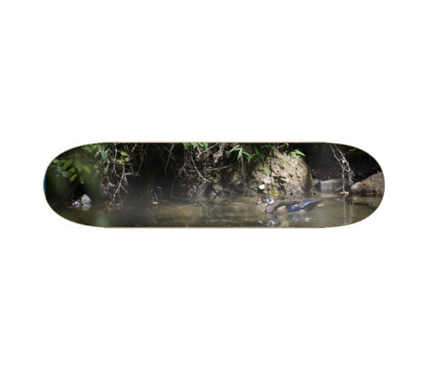 BOARD DUCK.jpg