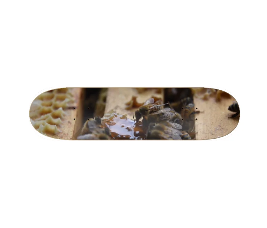 BOARD BEEZ.jpg