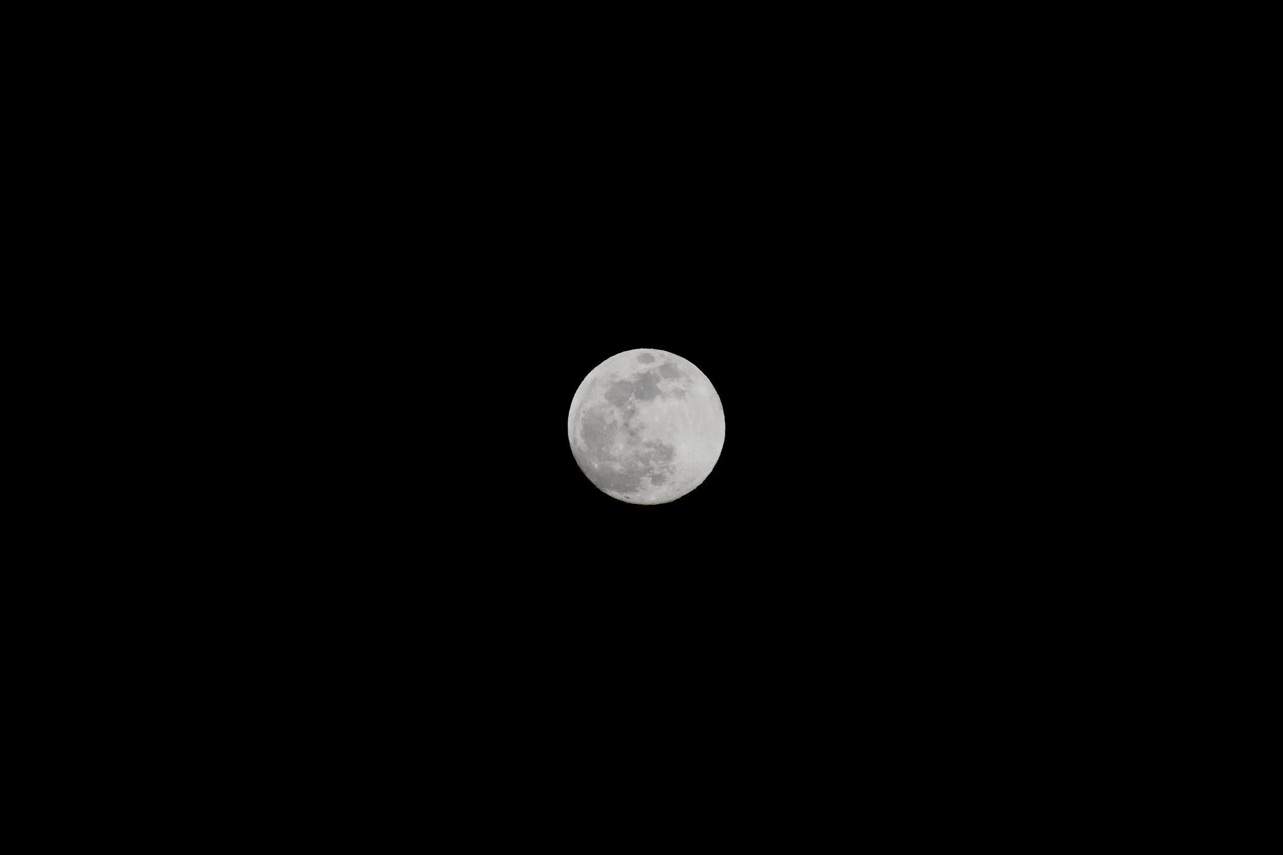 DSC_1260.JPG