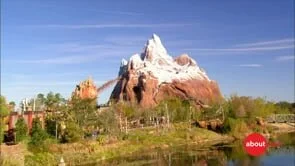 Cool Thrills at Walt Disney World