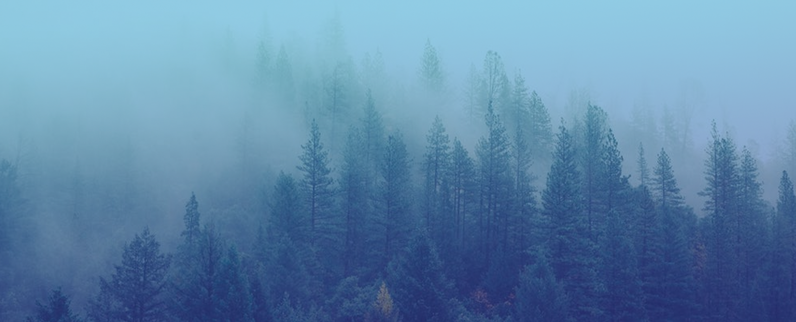 forests.png