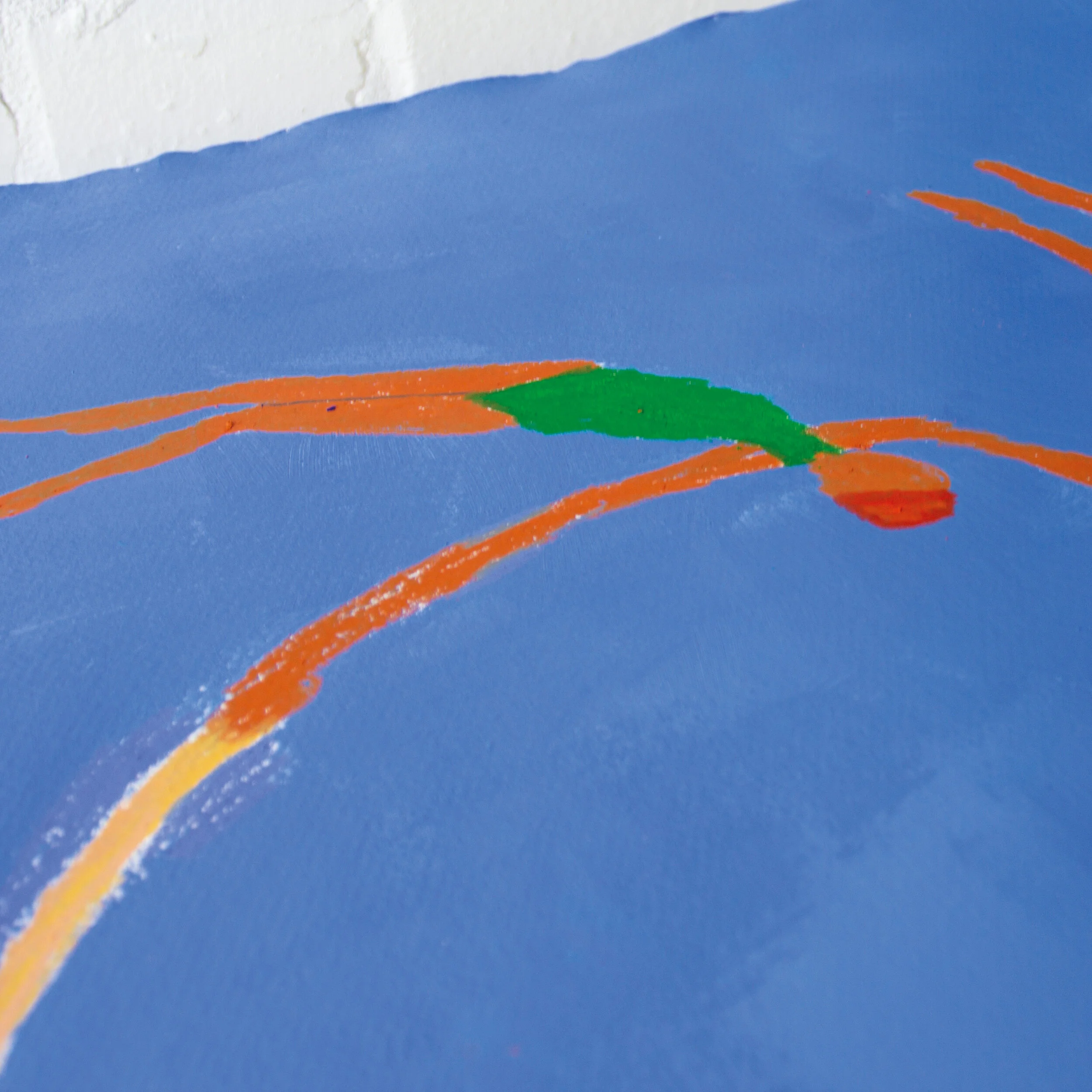 Swimming in circles close up.jpg