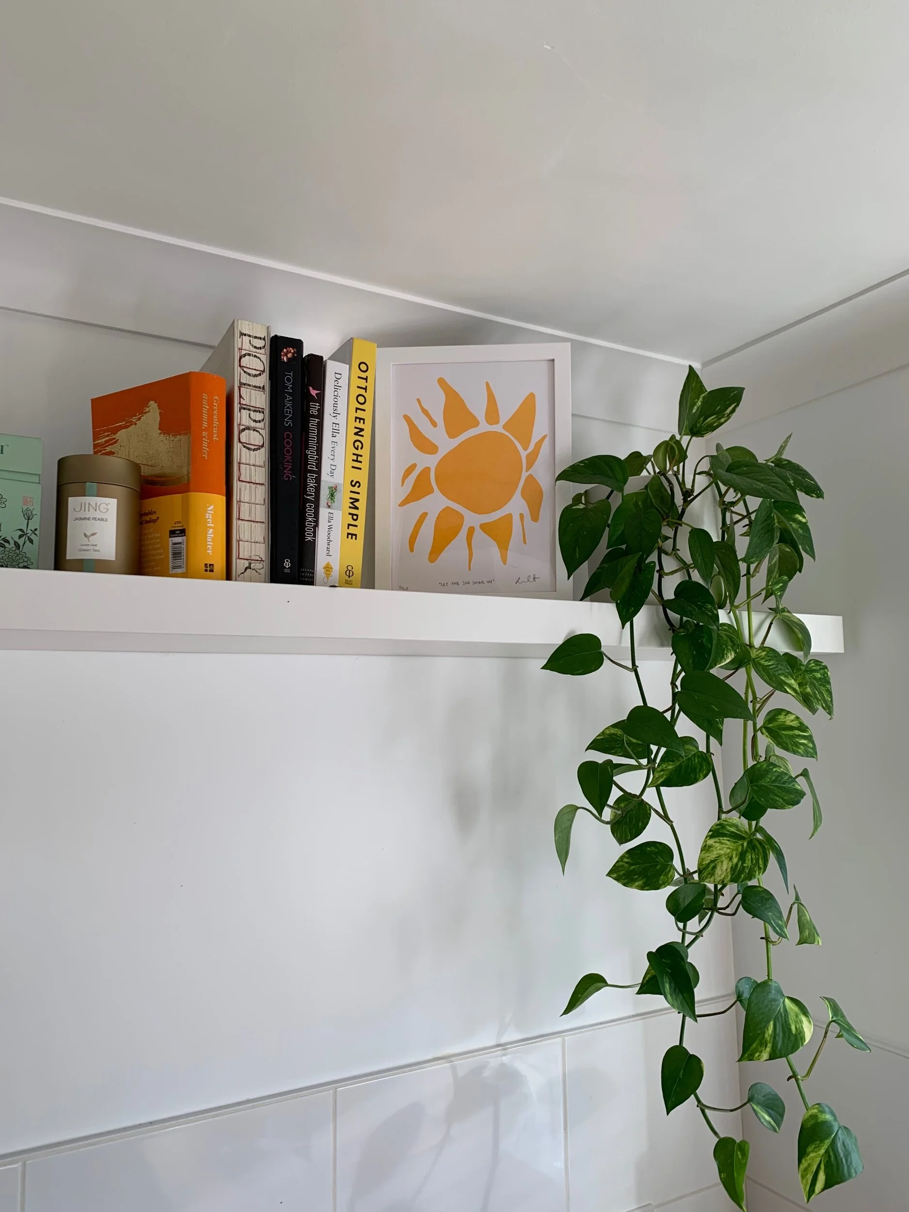 1CC4F20B-660F-4192-B75A-90E77A98CFBD