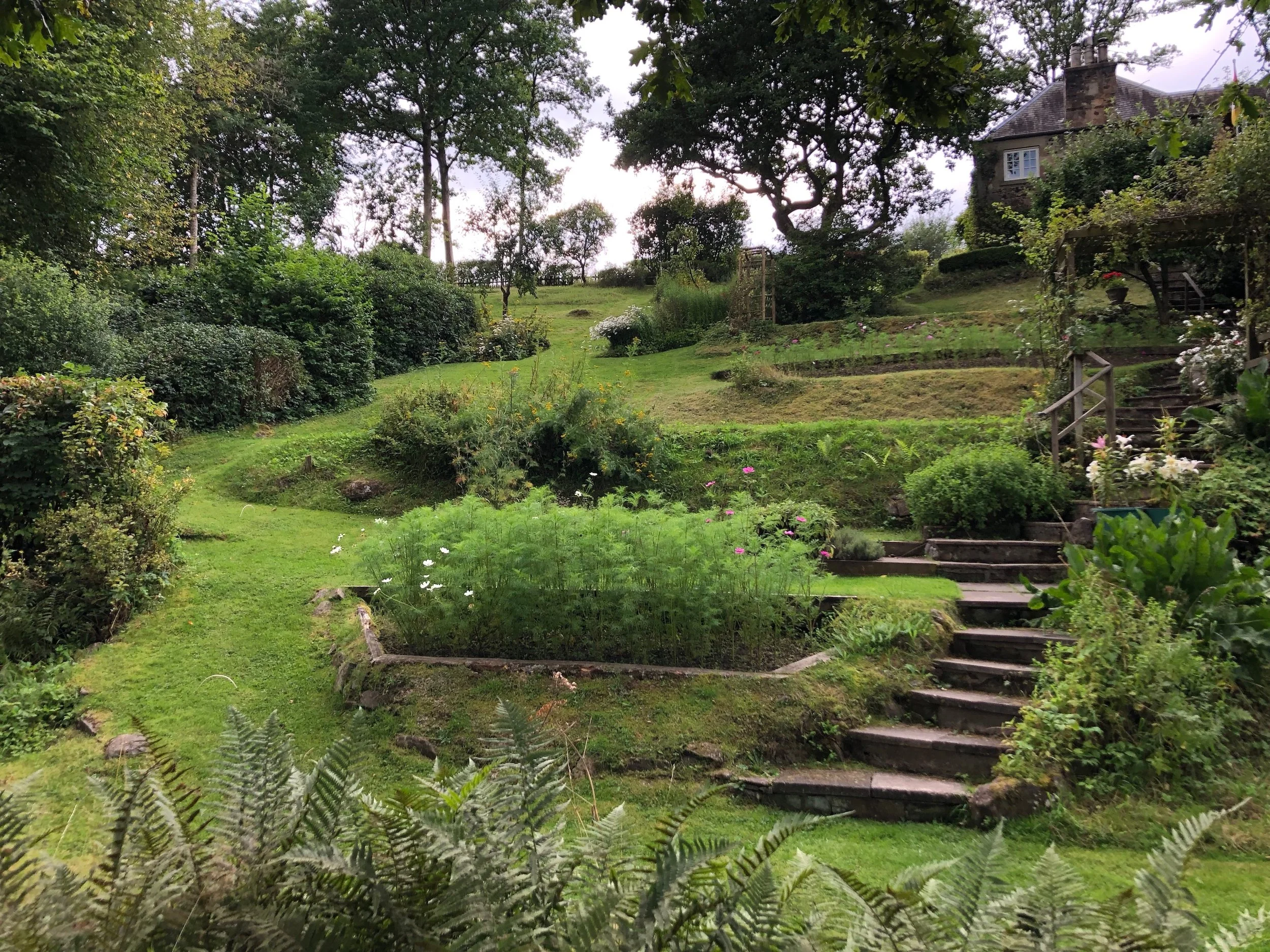 The garden and woodland from which Laura draws much of her inspiration.