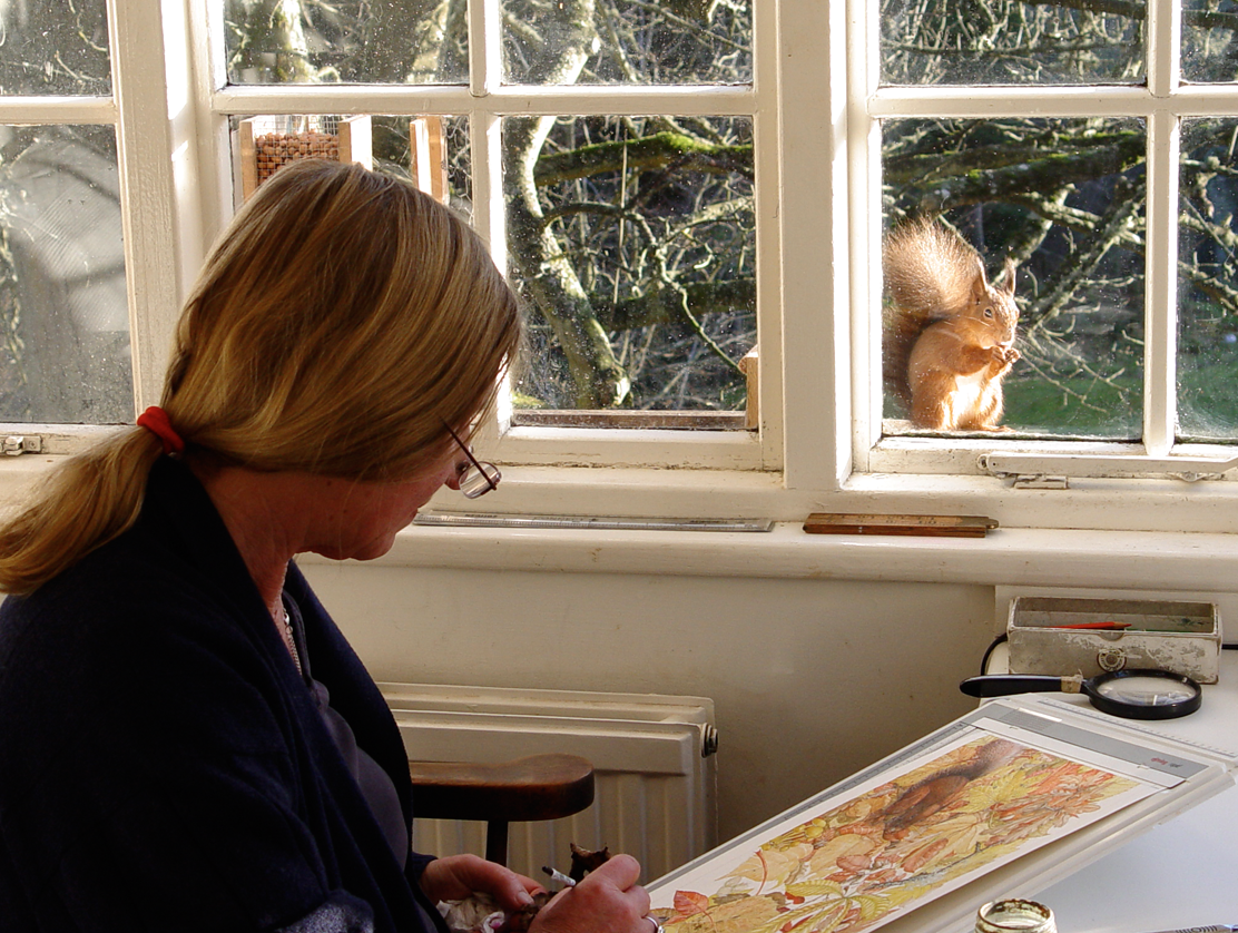Regular visitors such as this red squirrel, mean that Laura is able to paint much of her work from life.