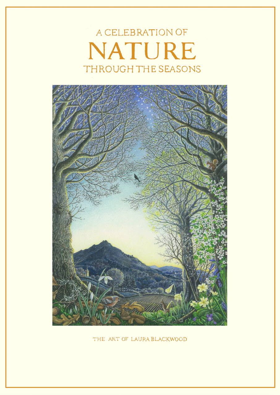 The front cover of the book, measuring 345 x 250 mm