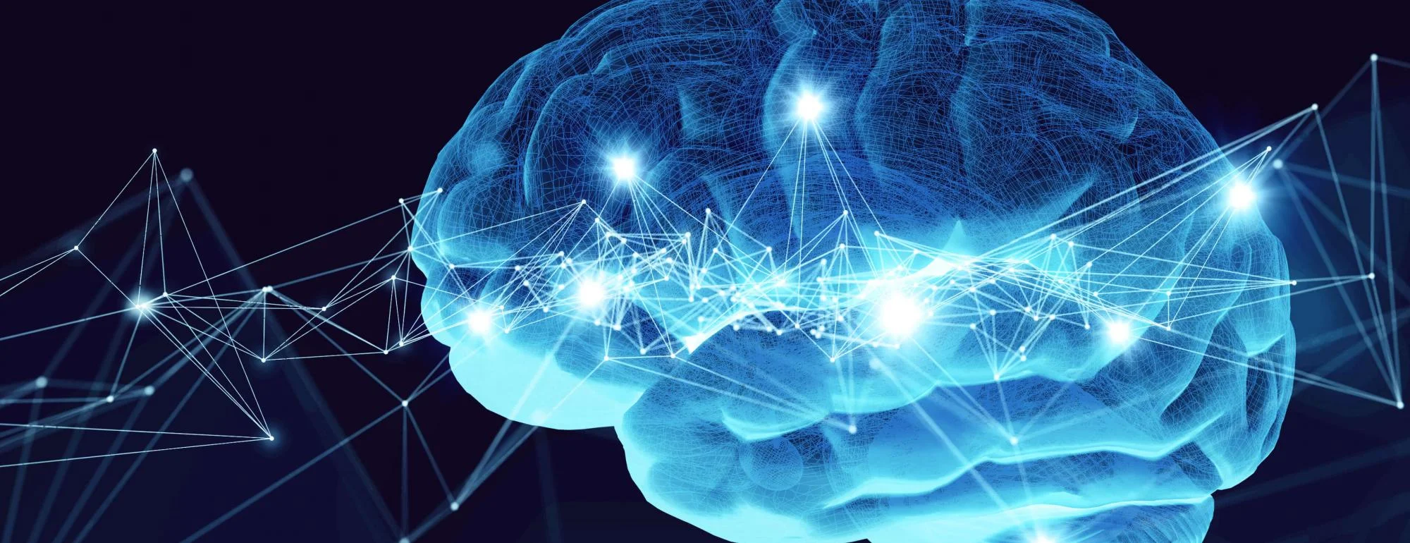 mind-map-molecules-center-neuroscience-uc-davis-banner_0.jpg
