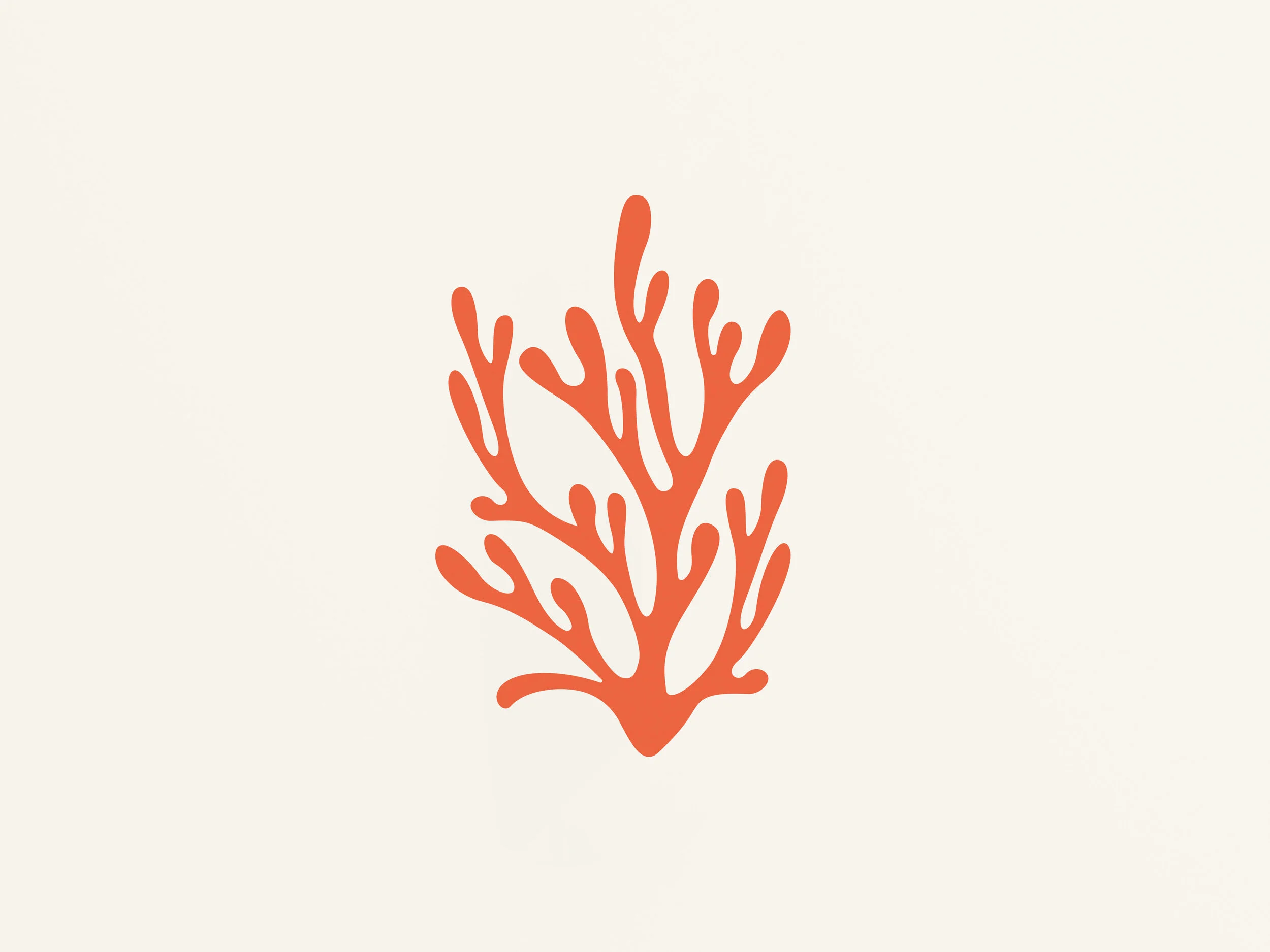 OrangeFlower.jpg