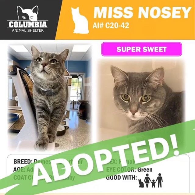 Congratulations to Miss Nosey and baby Carmen on their adoptions today! These two lovely ladies deserve all the best! #adopted #adopt #happy #animalrescue #cats