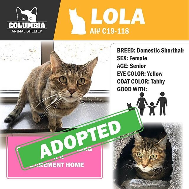 Super sweet senior Lola has left the building! This beautiful lady has been with us for a while and we are so excited that she has found a home! Interested in adoption? Visit of website to see more available pets and find out how to set up an adoptio