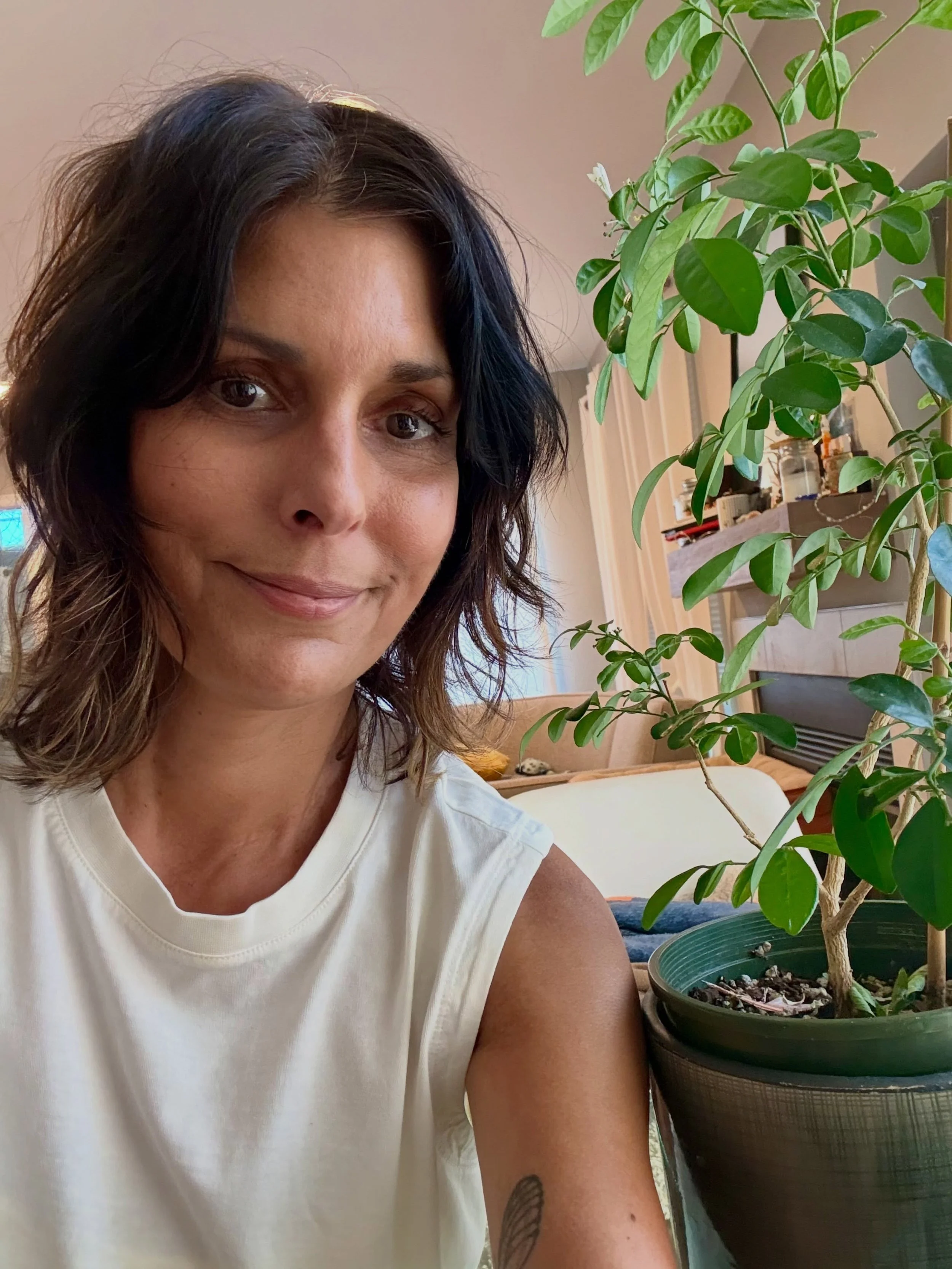 Proof of life. ;) 

Just me and my plant (orange jasmine) contemplating the exciting projects in my future. Can't say much yet but I'm looking forward to being able to speak to humans about them. Though, I am a plant-trovert at heart. 

#author #nove