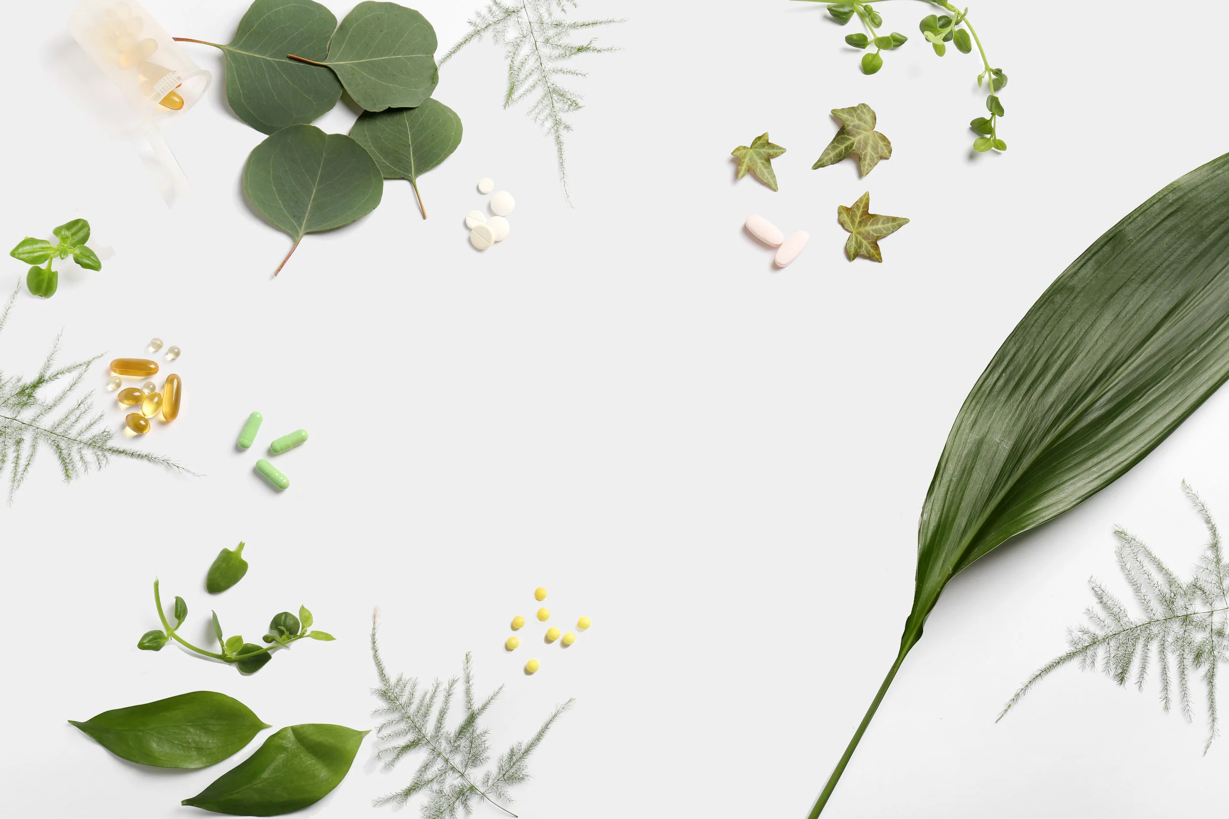 AdobeStock_256799603.jpg