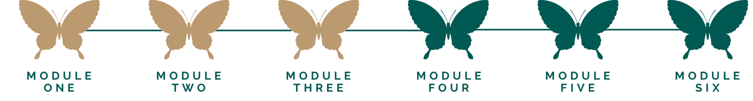 Module 3.png