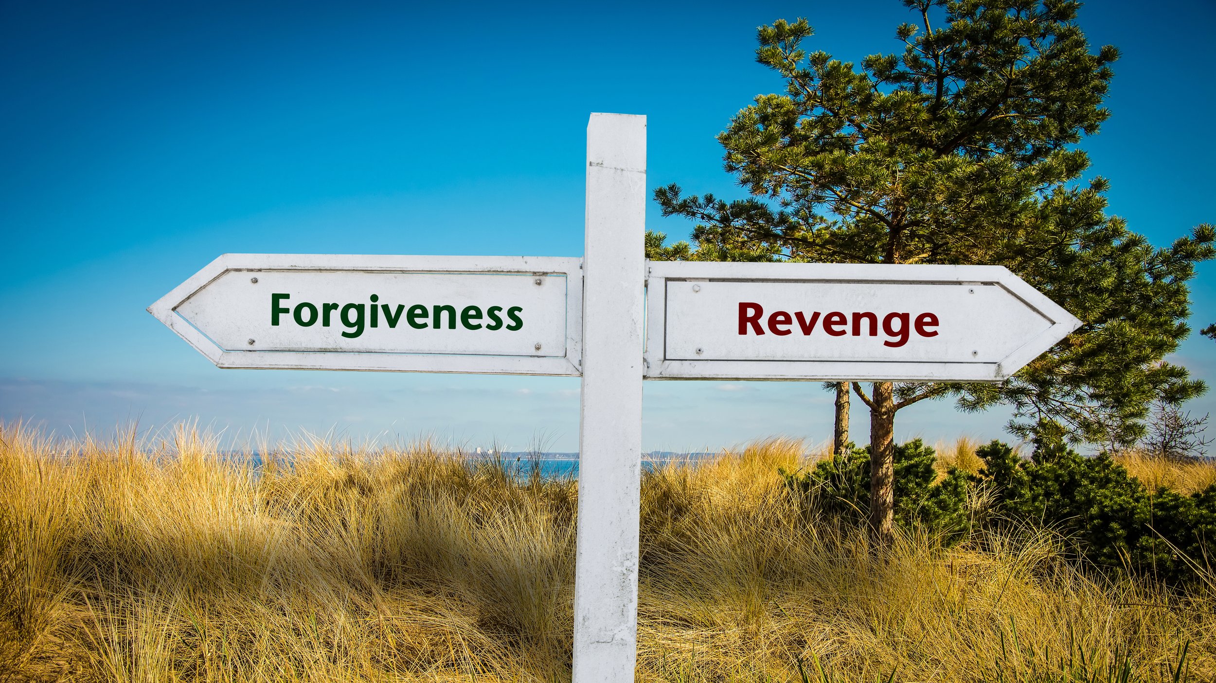 The Healing Power of Forgiveness