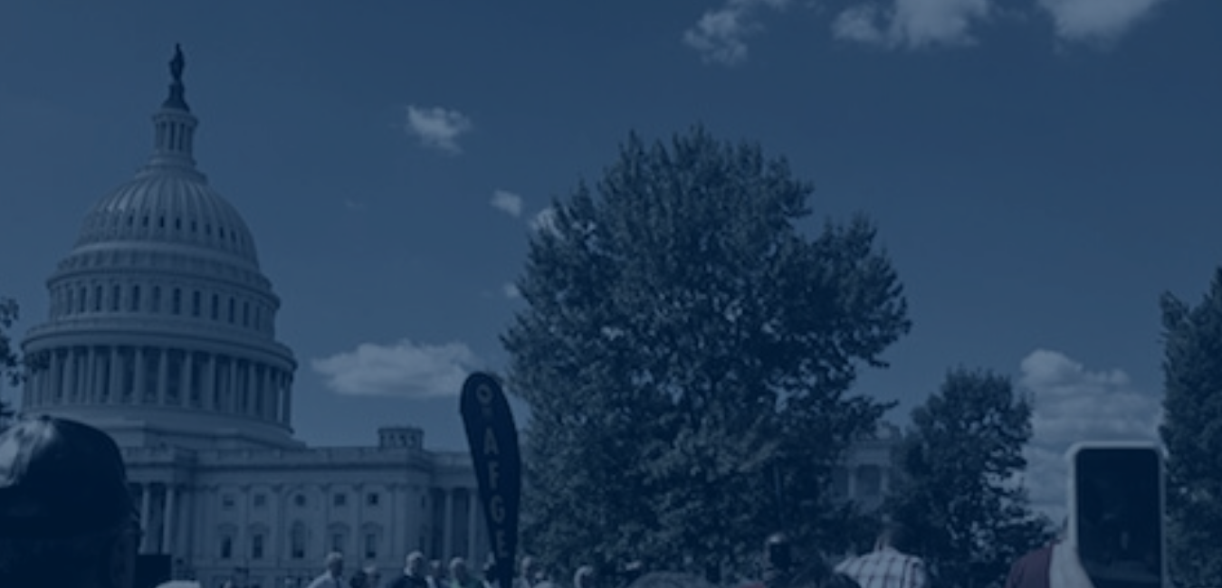 Legislation and Policy